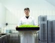 plant-based innovation