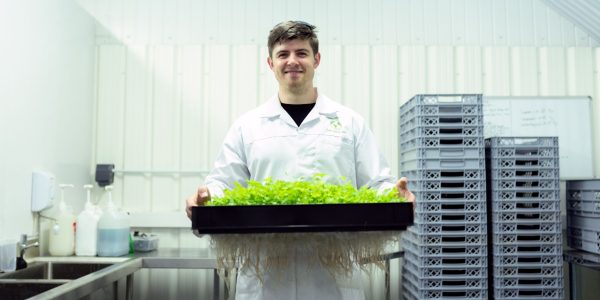 plant-based innovation