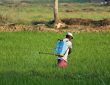 PM-KISAN scheme benefits