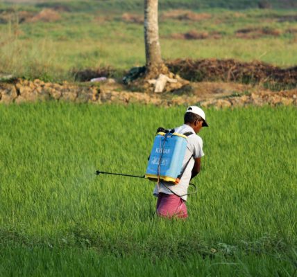PM-KISAN scheme benefits