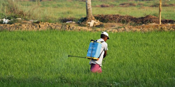 PM-KISAN scheme benefits