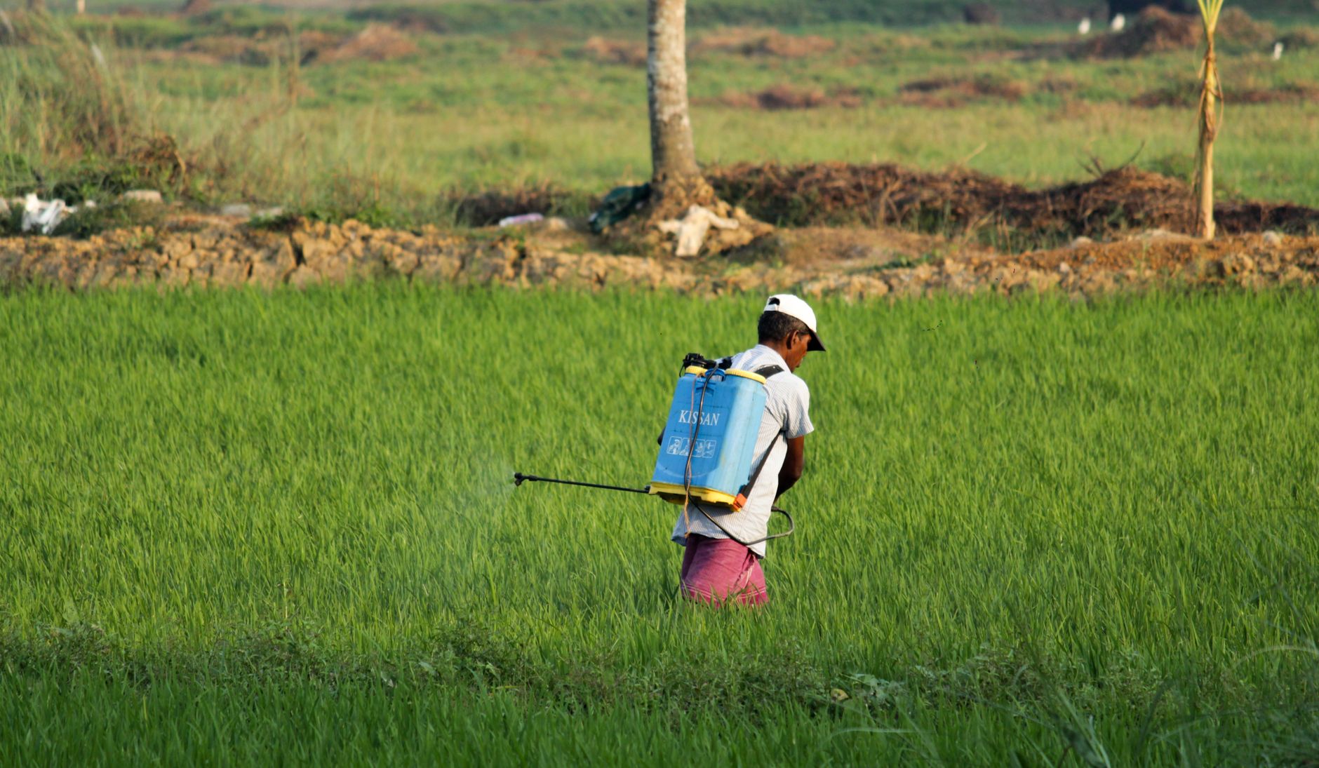 PM-KISAN scheme benefits