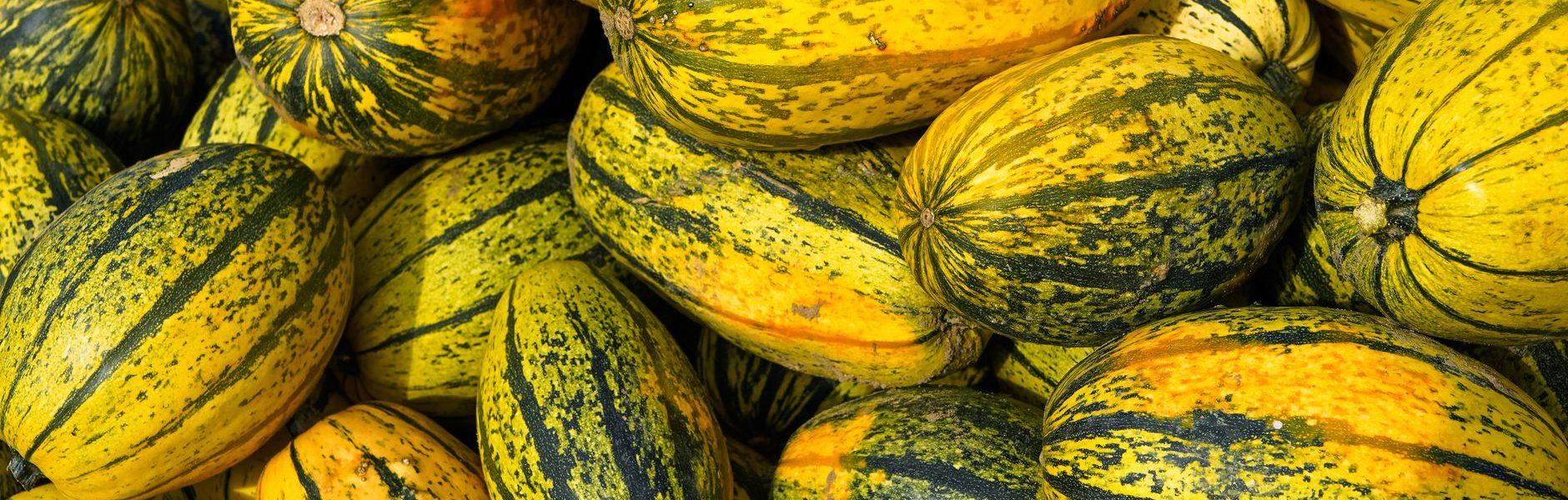 US Foods Fall 2026