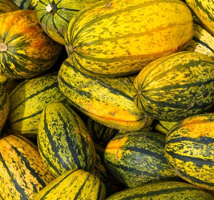 US Foods Fall 2026
