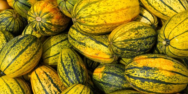 US Foods Fall 2026