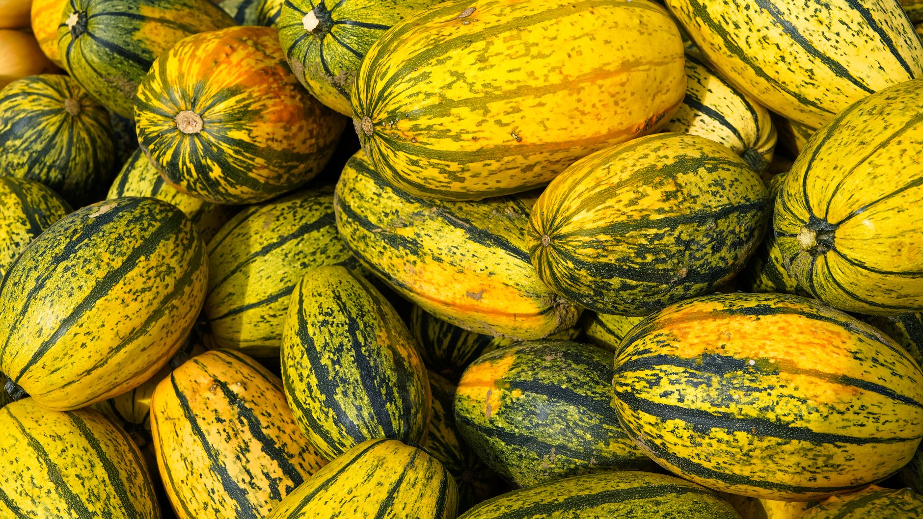 US Foods Fall 2026