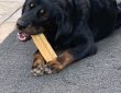 yak dog chews