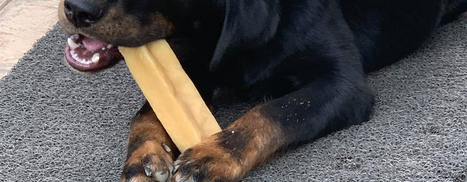 yak dog chews