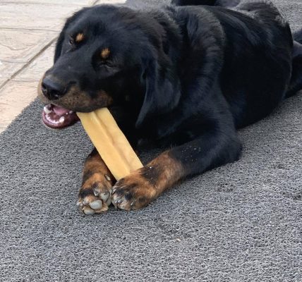 yak dog chews