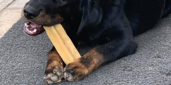yak dog chews