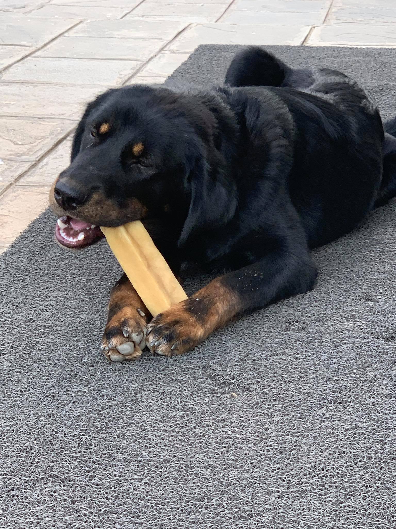yak dog chews